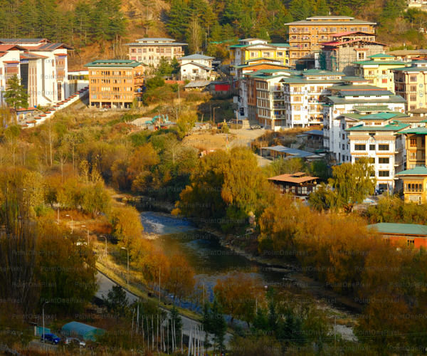 Autumn City